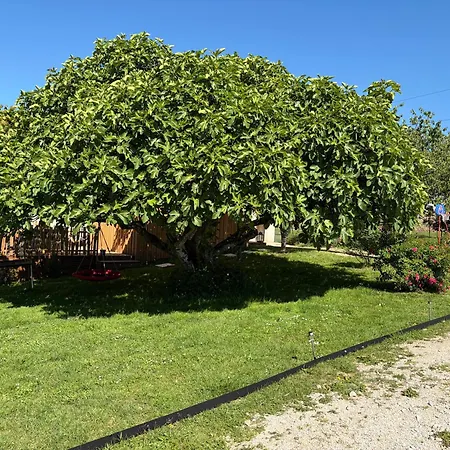 Сasa de vacaciones Au Murmure Du Bois - Maison 6 Personnes En Dordogne