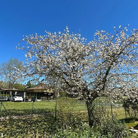Сasa de vacaciones Au Murmure Du Bois - Maison 6 Personnes En Dordogne Monfaucon (Dordogne)