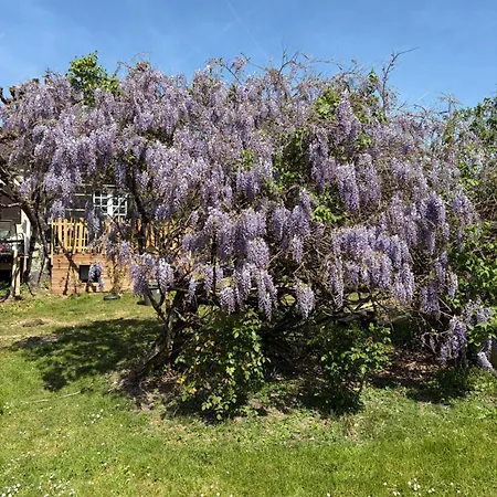 Au Murmure Du Bois - Maison 6 Personnes En Dordogne *